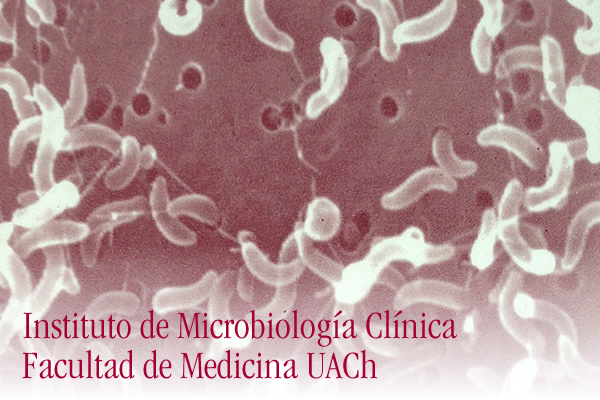 Instituto de Microbiología Clínica